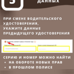 Как получить полис_5